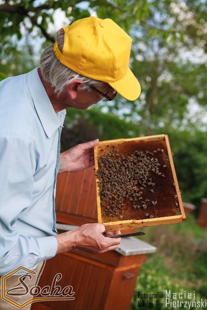 pasieka_socha_01