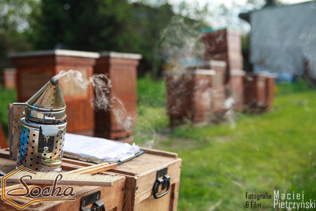 pasieka_socha_03