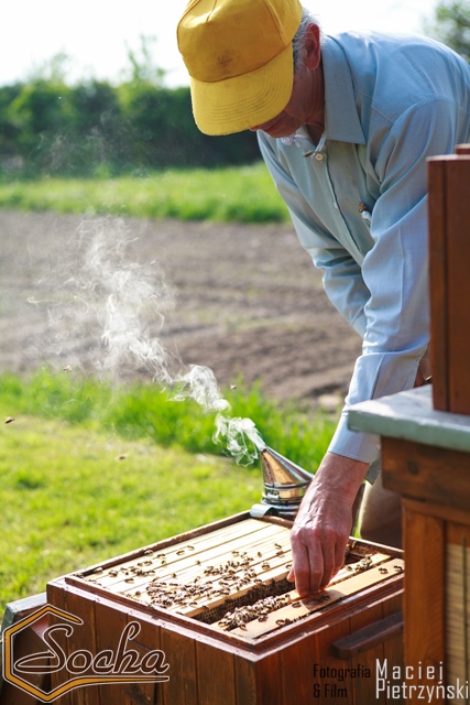 pasieka_socha_07
