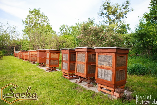 pasieka_socha_12
