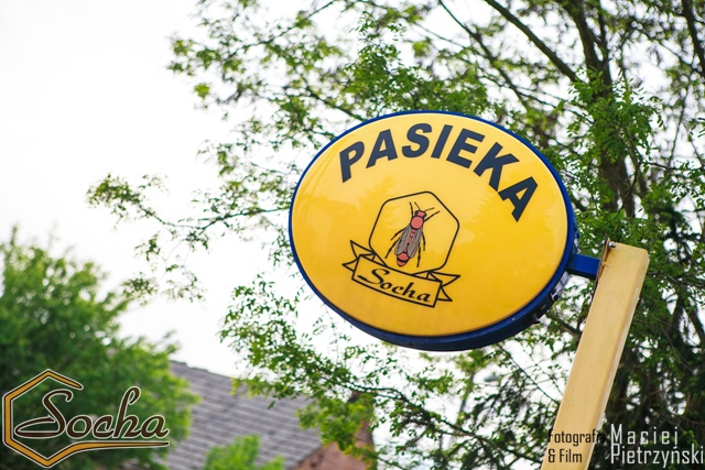 pasieka_socha_14