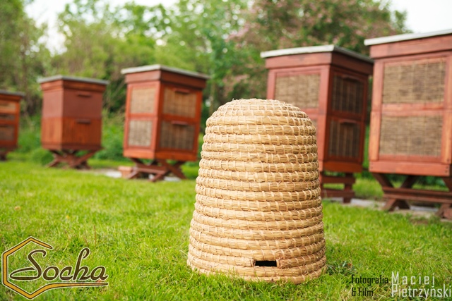 pasieka_socha_18